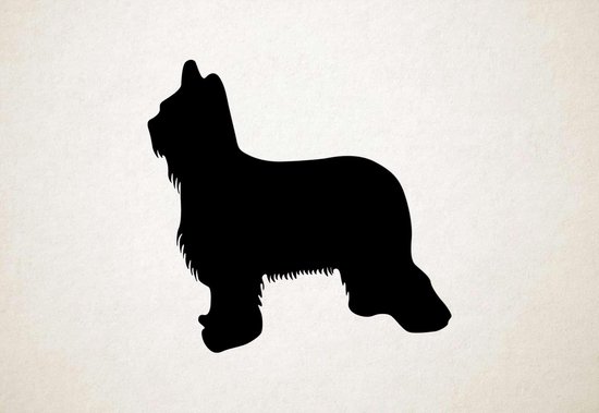 Silhouette chien - Briard - XS - 25x26cm - Zwart - décoration murale