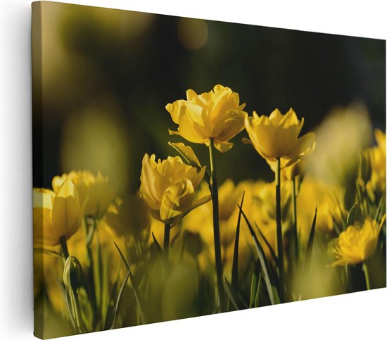 Artaza Canvas Schilderij Gele Tulpen - Bloemen - 120x80 - Groot - Foto Op Canvas - Wanddecoratie Woonkamer