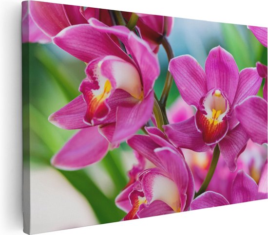 Artaza Canvas Schilderij Licht Paarse Orchidee Bloemen - 120x80 - Groot - Foto Op Canvas - Wanddecoratie Woonkamer