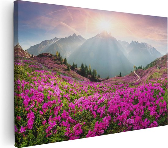 Artaza Canvas Schilderij Rhododendron Bloemenveld In De Alpen - 30x20 - Klein - Foto Op Canvas - Canvas Print