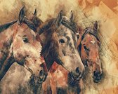 diamond painting paarden 50 x 40 cm bruin 440 gr.