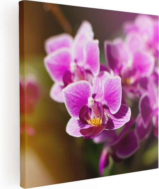 Artaza Canvas Schilderij Paarse Orchidee Bloemen - 30x30 - Klein - Foto Op Canvas - Canvas Print