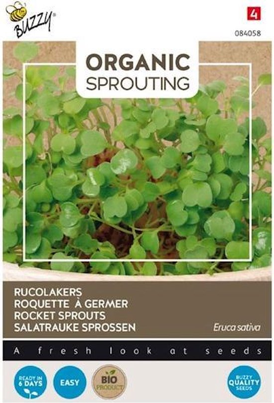 Buzzy® Knip & Eet - Rucola Kers