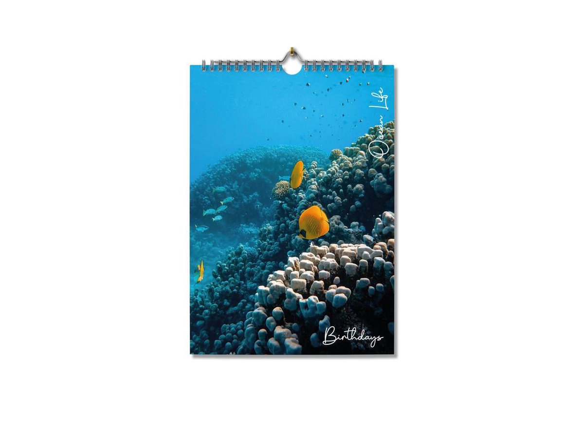 Editoo Ocean Life - Verjaardagskalender - A4 - 13 pagina's