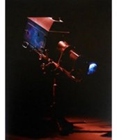 Mat Collishaw Hayat Görüntü