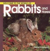 Welcome Rabbits (Wonderful Wor