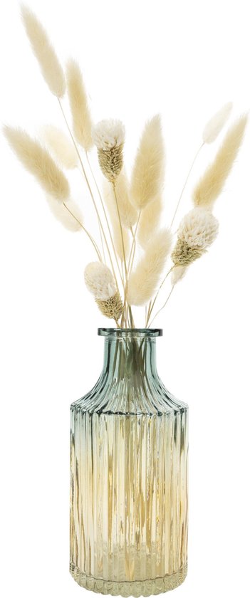 Vaas voor droogbloemen - Vazen - of landelijke bloemenvaas - Vaasje... | bol.com
