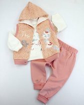 kledingsetje-baby-meisje-3-delig- baby outfit- met capuchon