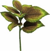 kunstplant Begonia Rex Maribel 27 cm zijde groen