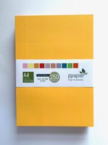 Gekleurd printpapier / kopieerpapier - A4 - 210x297 mm - 120 gram - Assorti - 10 x 25 vellen - 250 vellen