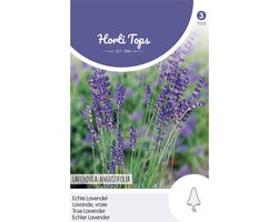 Hortitops - Echte Lavendel - Lavandula Officinalis