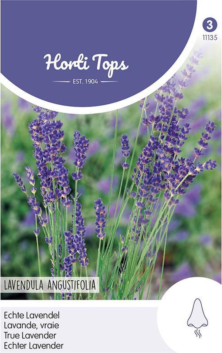 Hortitops - Echte Lavendel - Lavandula Officinalis - Hortitops zaden