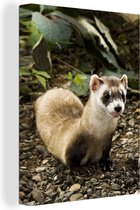 Tableau sur Toile Belette - Animal - Feuilles - 60x80 cm - Décoration murale