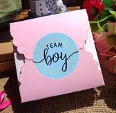 Team boy stickers - 12 stuks - team boy - blauw - stickers