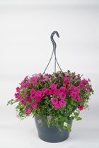 Hangpot Saar - met ingebouwd waterreservoir - 45 cm