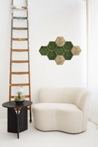 Modulaire wandpaneel met botanische gravering - ↑22cm / ø25cm