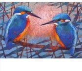 Ansichtkaart Twee Ijsvogels Loes Botman - 10,5x15x0,5 cm - 5 stuks - Groot Brittanië - Ecostory