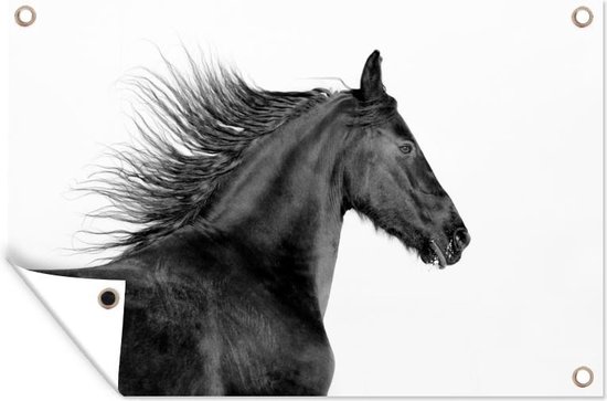 D coration murale cheval frison noir et blanc 180x120 cm