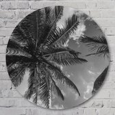 Muurcirkel ⌀ 50 cm - Meet me under the palmtree  - Aluminium Dibond - Natuur - Rond Schilderij - Wandcirkel - Wanddecoratie