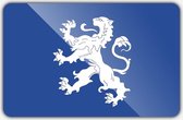 Vlag gemeente Heemskerk - 200 x 300 cm - Polyester