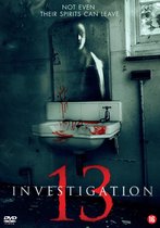 Investigation 13
