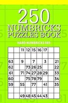 250 Numbricks Puzzle Book