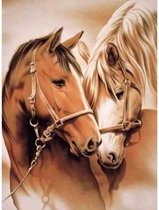 Diamond painting - Twee mooie getekende paarden - Geproduceerd in Nederland - 30 x 40 cm - dibond materiaal - vierkante steentjes - Binnen 2-3 werkdagen in huis