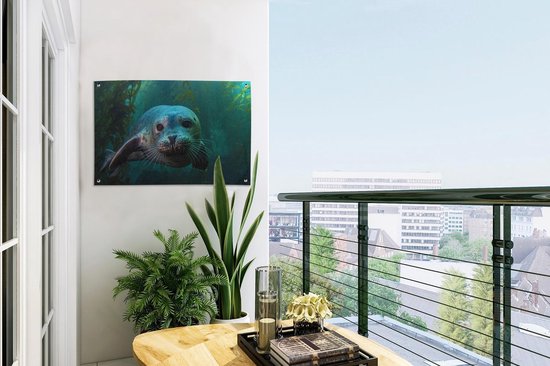 Décoration de jardin Seagrass - Water - Phoque - 60x40 cm - Affiche de jardin