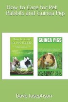 How to Care for Pet Rabbits and Guinea Pigs