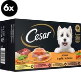 Cesar Primeur Kalkoen, Rund, Kip, Gevogelte in paté honden natvoer voordeelpack 6-pack - 6x(4x150g) - 3600g