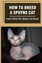 How To Breed A Sphynx Cat: Learn About The Sphynx Cat Breed