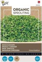 Buzzy® Knip & Eet - Basilicum Kers