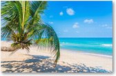 Tropisch strand met palmboom - 1000 Stukjes puzzel voor volwassenen - Natuur