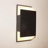 Luminize Wandlamp binnen en buiten - Buitenlamp - Industrieel - Muurlamp - led - zwart - 18x9x4cm