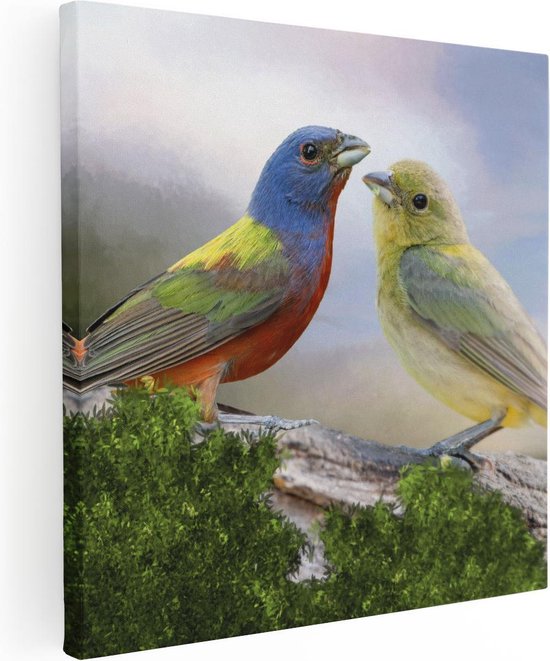 Artaza Canvas Schilderij Getekende Gorzen Vogels - Kleur - Abstract - 70x70 - Foto Op Canvas - Canvas Print