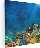 Artaza Canvas Schilderij Onderwater Vissen Met Koraal In De Zee - 30x30 - Klein - Foto Op Canvas - Canvas Print
