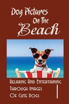 Dog Pictures On The Beach: Relaxing And Entertaining Through Images Of Cute Dogs