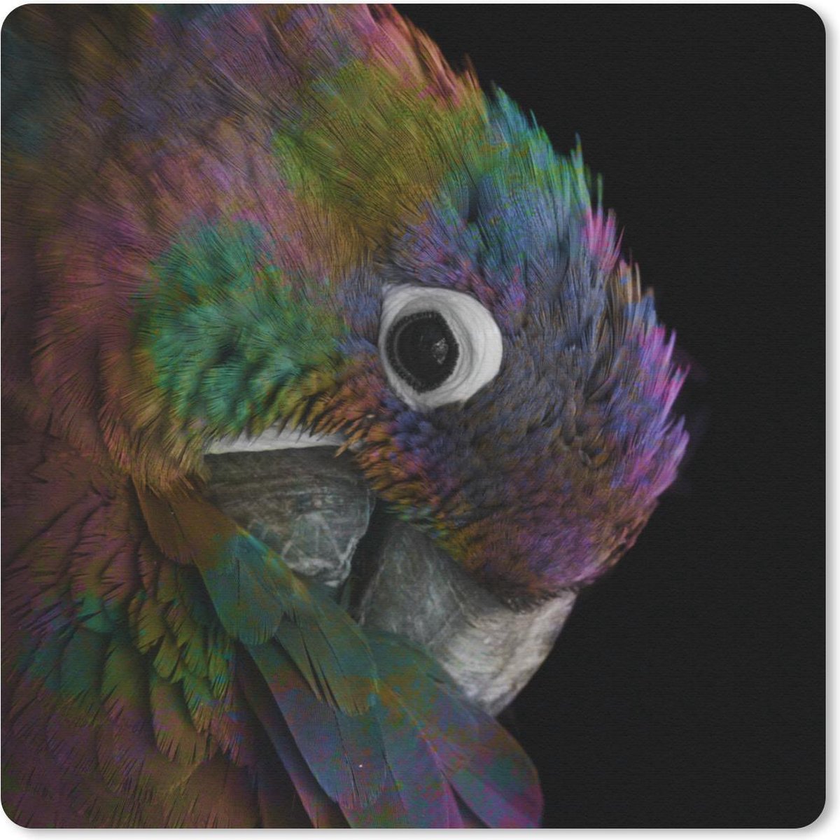 Muismat 20x20 cm - Mousepad Papegaai - Regenboog - Zwart - Muismatten