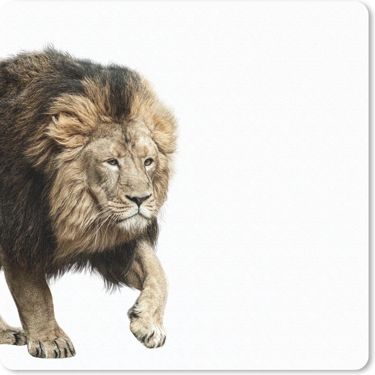Muismat 30x30 cm - Mousepad Leeuw - Wit - Dieren - Muismatten