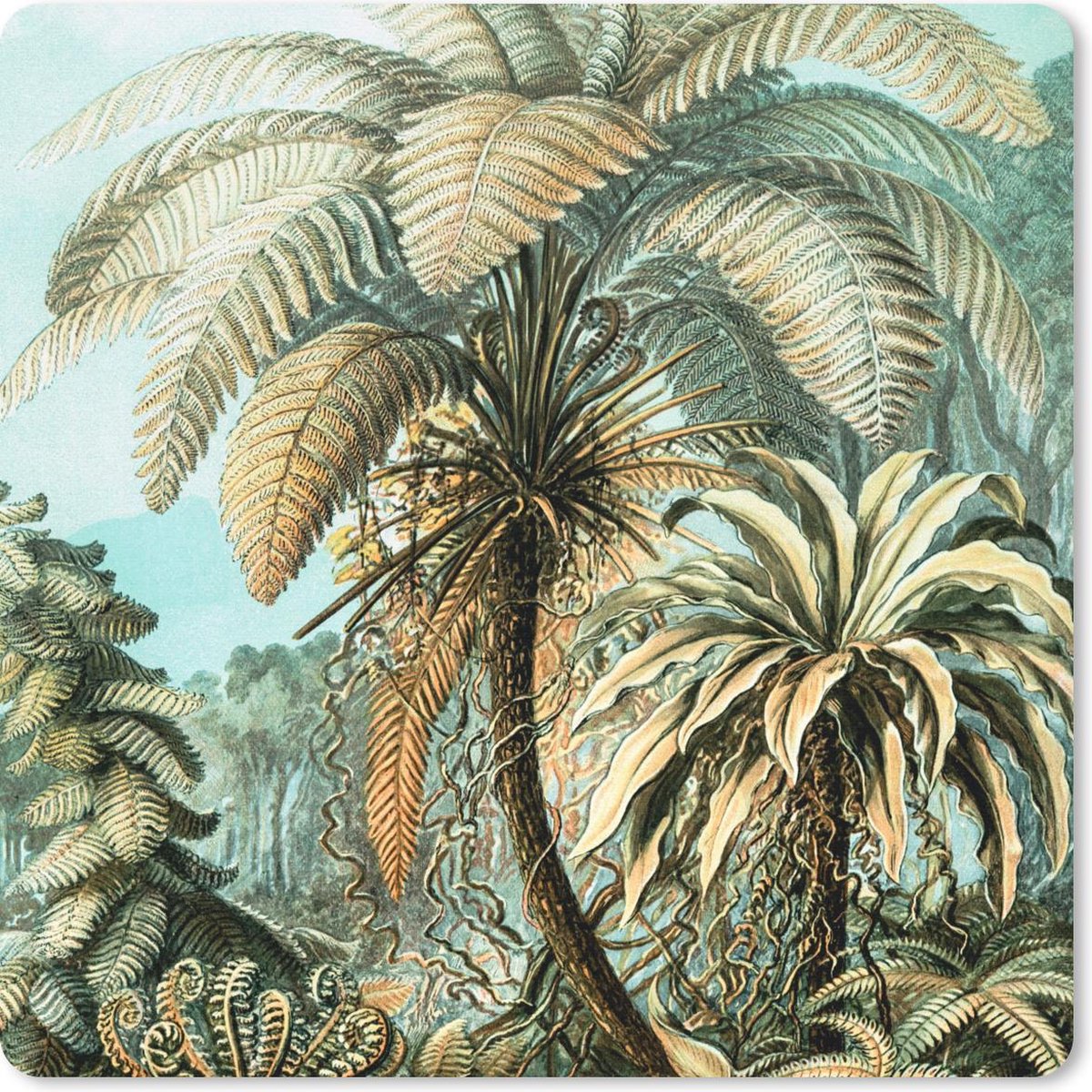Muismat 20x20 cm - Mousepad Palmboom - Ernst Haeckel - Muismatten