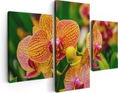 Artaza Canvas Schilderij Drieluik Geel Rode Orchidee Bloemen - 90x60 - Foto Op Canvas - Canvas Print
