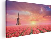 Artaza Canvas Schilderij Rode Rozen Bloemenveld Met Een Windmolen - 100x50 - Groot - Foto Op Canvas - Canvas Print