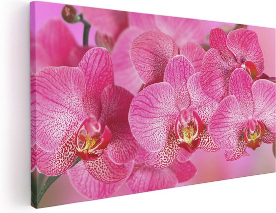 Artaza Canvas Schilderij Roze Orchidee Bloemen - 40x20 - Klein - Foto Op Canvas - Canvas Print