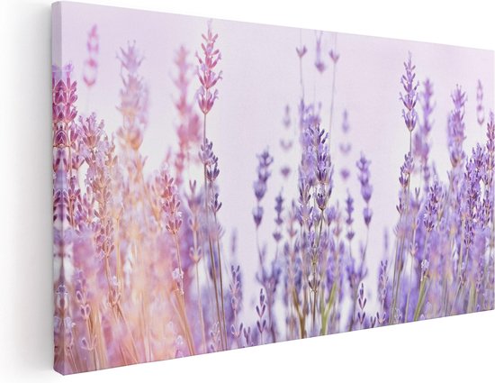 Artaza Canvas Schilderij Paarse Lavendel Bloemen  - 40x20 - Klein - Foto Op Canvas - Canvas Print
