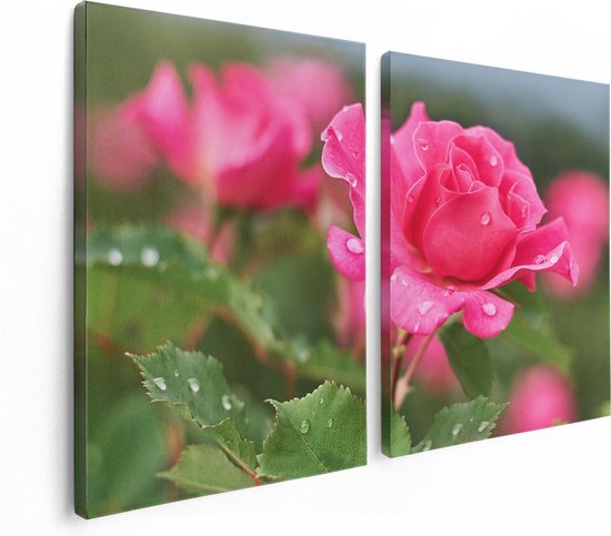 Artaza Canvas Schilderij Tweeluik Roze Roos Met Waterdruppels - 120x80 - Foto Op Canvas - Canvas Print