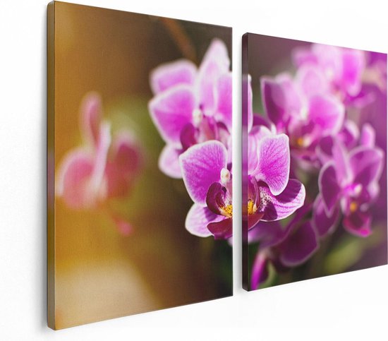 Artaza Canvas Schilderij Tweeluik Paarse Orchidee Bloemen - 120x80 - Foto Op Canvas - Canvas Print