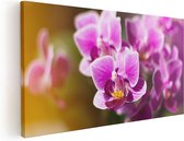 Artaza Canvas Schilderij Paarse Orchidee Bloemen - 120x60 - Groot - Foto Op Canvas - Canvas Print