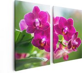 Artaza Canvas Schilderij Tweeluik Roze Orchidee Bloemen - 80x60 - Foto Op Canvas - Canvas Print