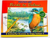 Kleurboek ''Birds to Colour'' | Kleurboek voor volwassen | Tekenen | Creatief voor volwassenen | Met tekenhints!