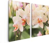 Artaza Canvas Schilderij Tweeluik Gestreepte Witte Orchidee Bloemen - 80x60 - Foto Op Canvas - Canvas Print
